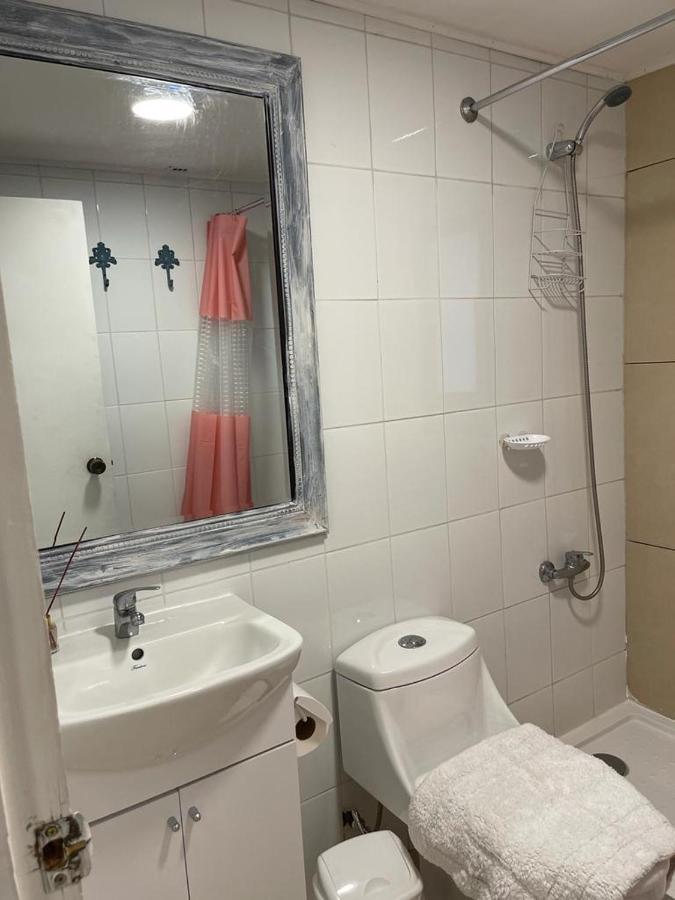 Apart Hotel Don Domingo 特木科 外观 照片