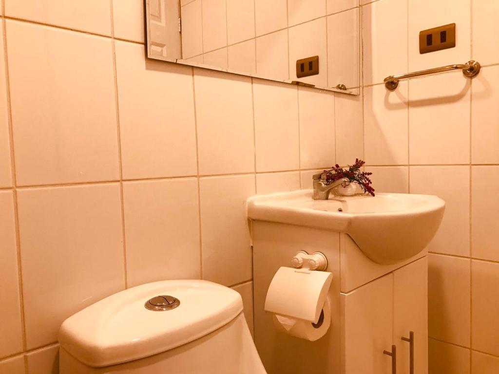 Apart Hotel Don Domingo 特木科 外观 照片